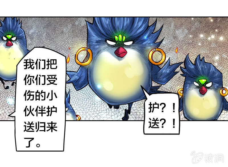 护送阿鴖鸟32