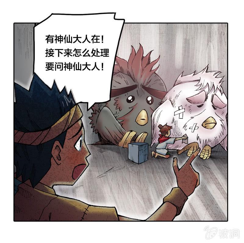 比翼仙鸟24