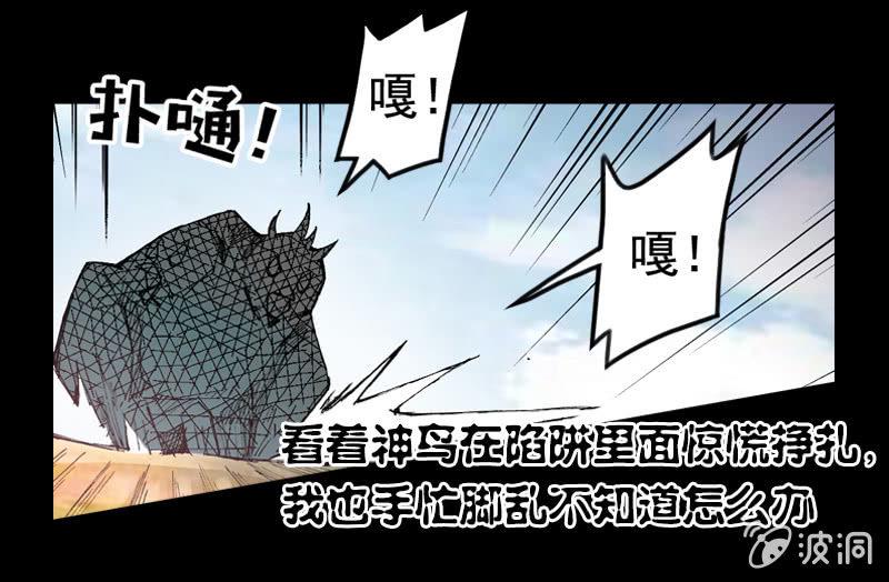 比翼仙鸟19