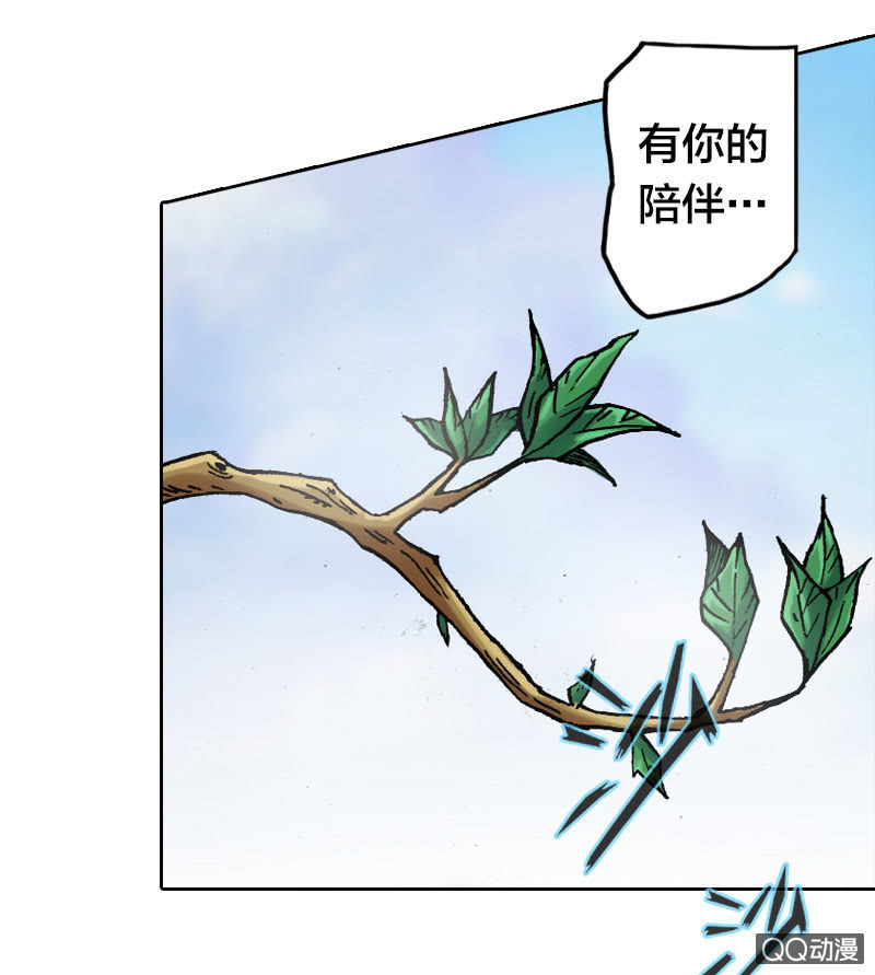 特别的鱼5