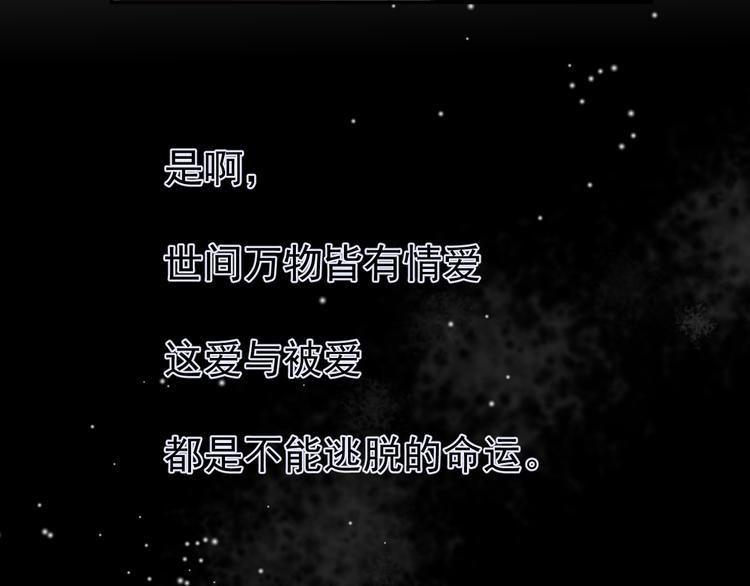 第14话 不一样的夜4