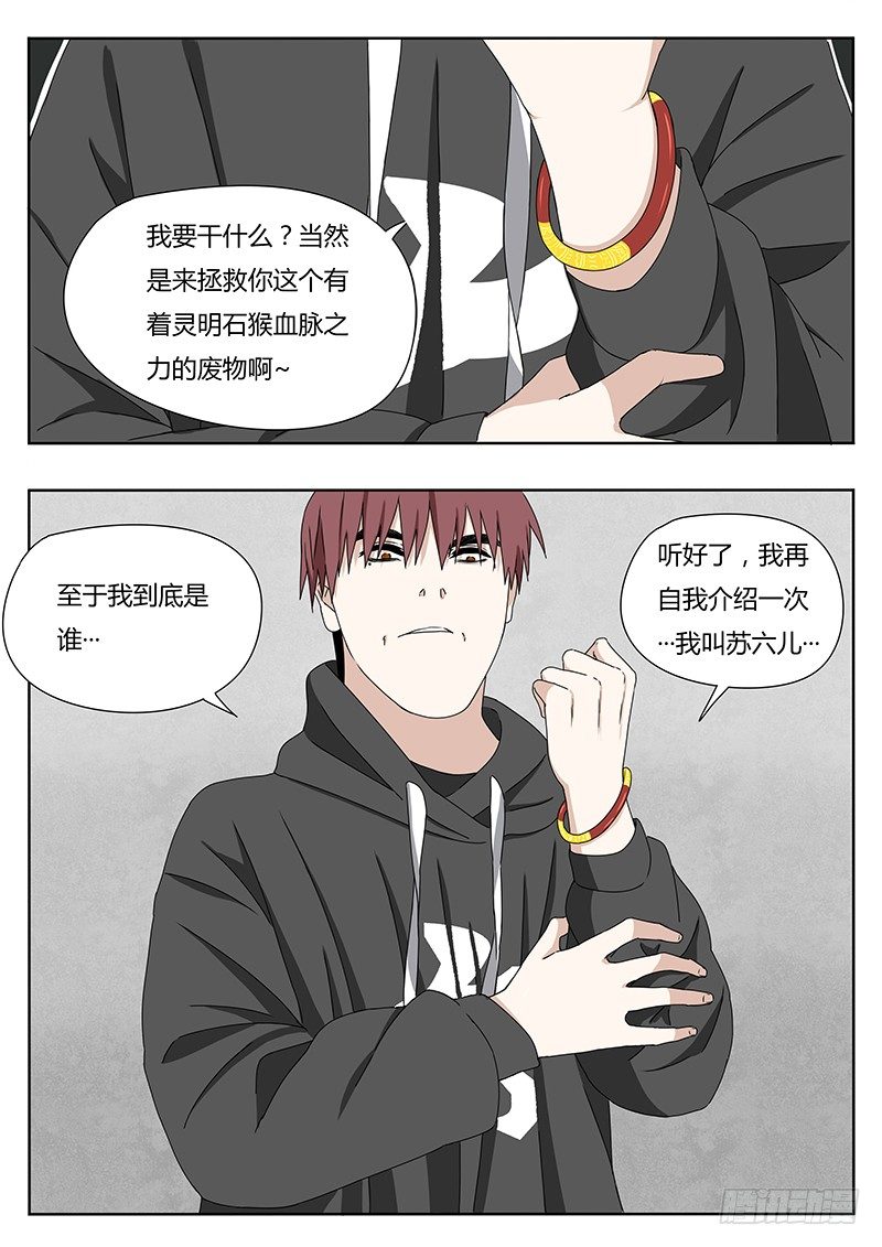 灵明石猴9