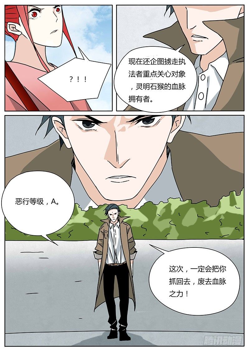 九龙神火罩11