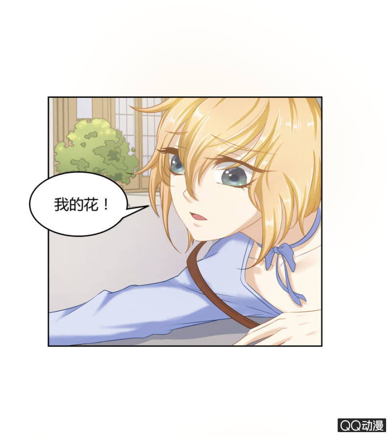 爱，无需理由31