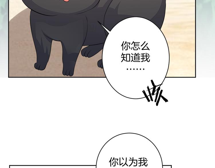 第24话 各自方向14