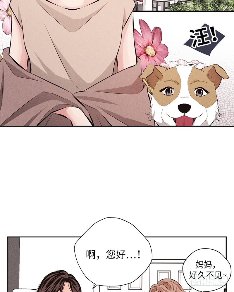 第53话29