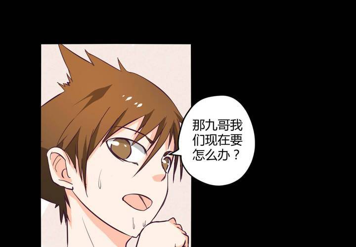 第十三章：苜蓿的报恩29