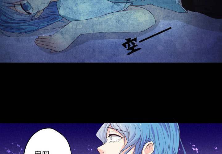 第六章：出人意料的相遇17