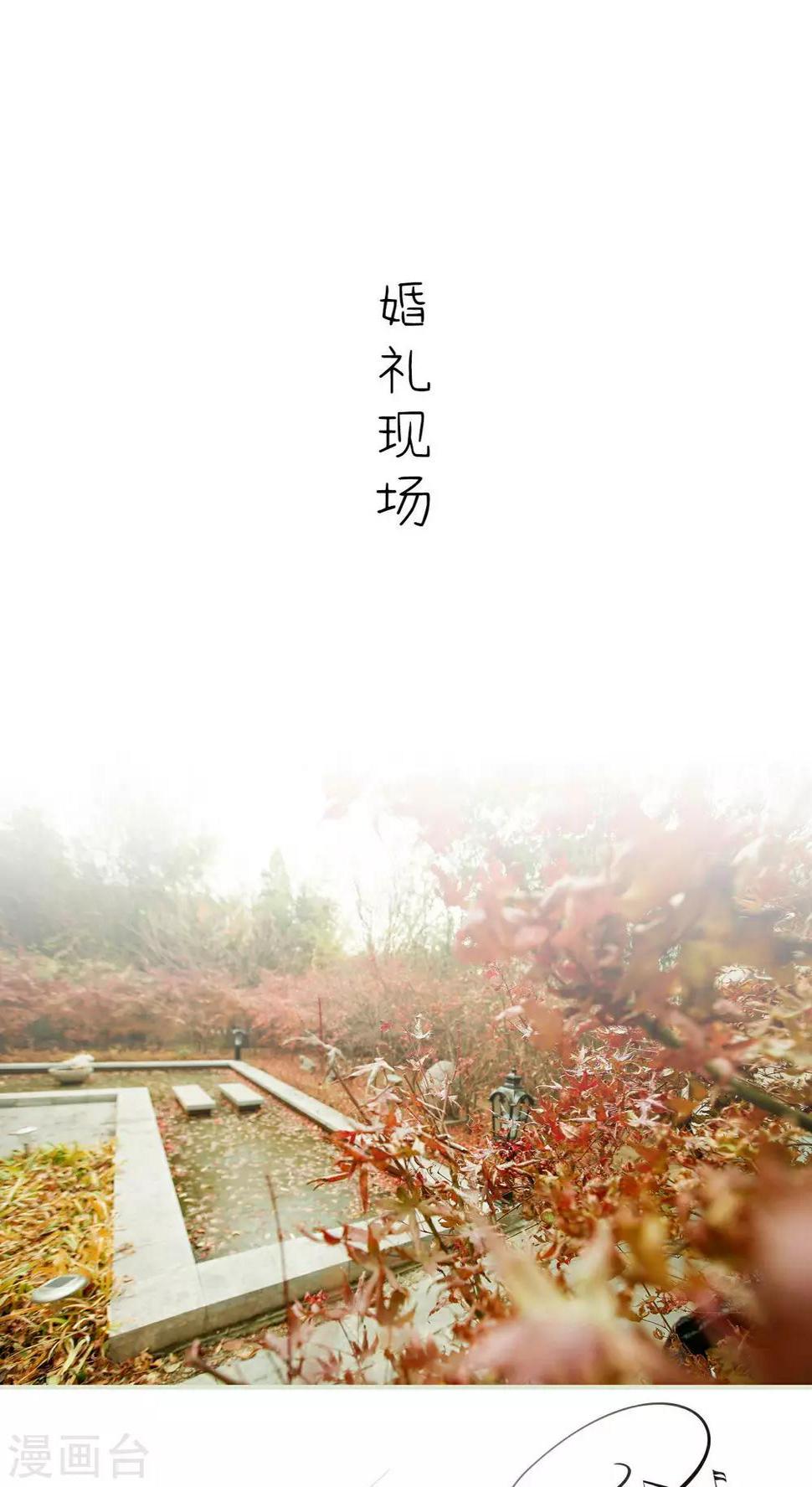 第11话9