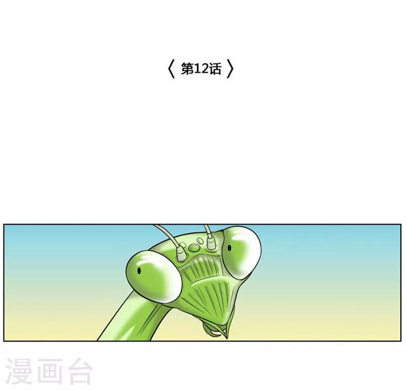 第12话12