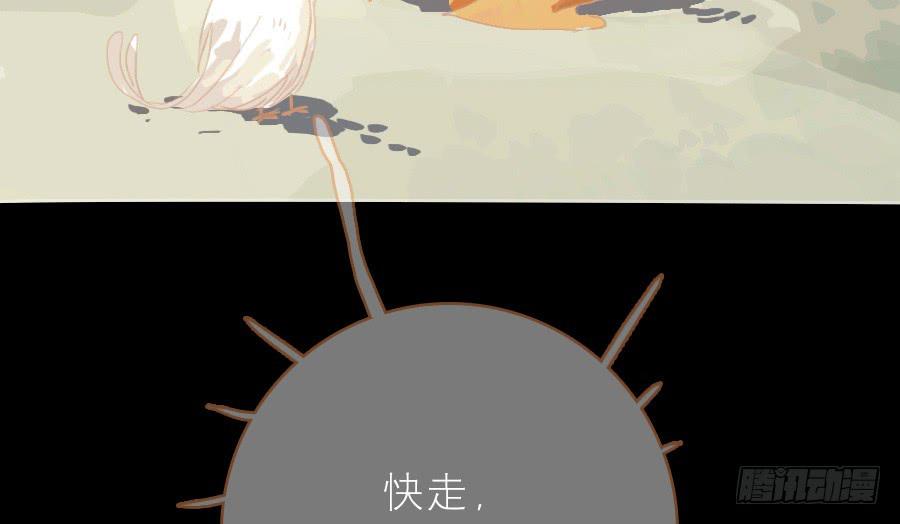 落毛凤凰不如鸡17
