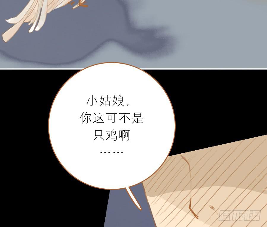 落毛凤凰不如鸡91