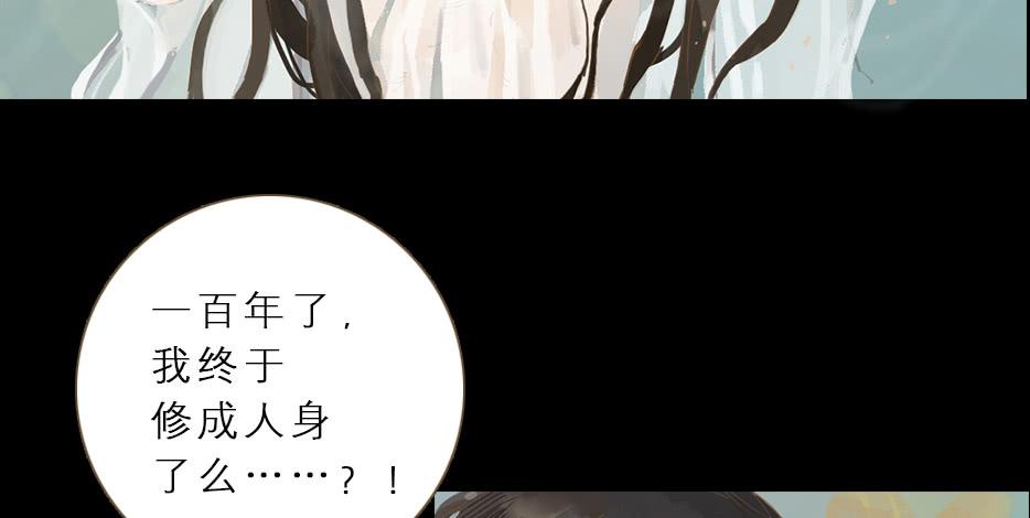 草精化形盗仙衣40