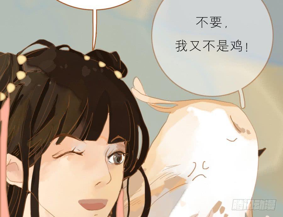 落毛凤凰不如鸡55