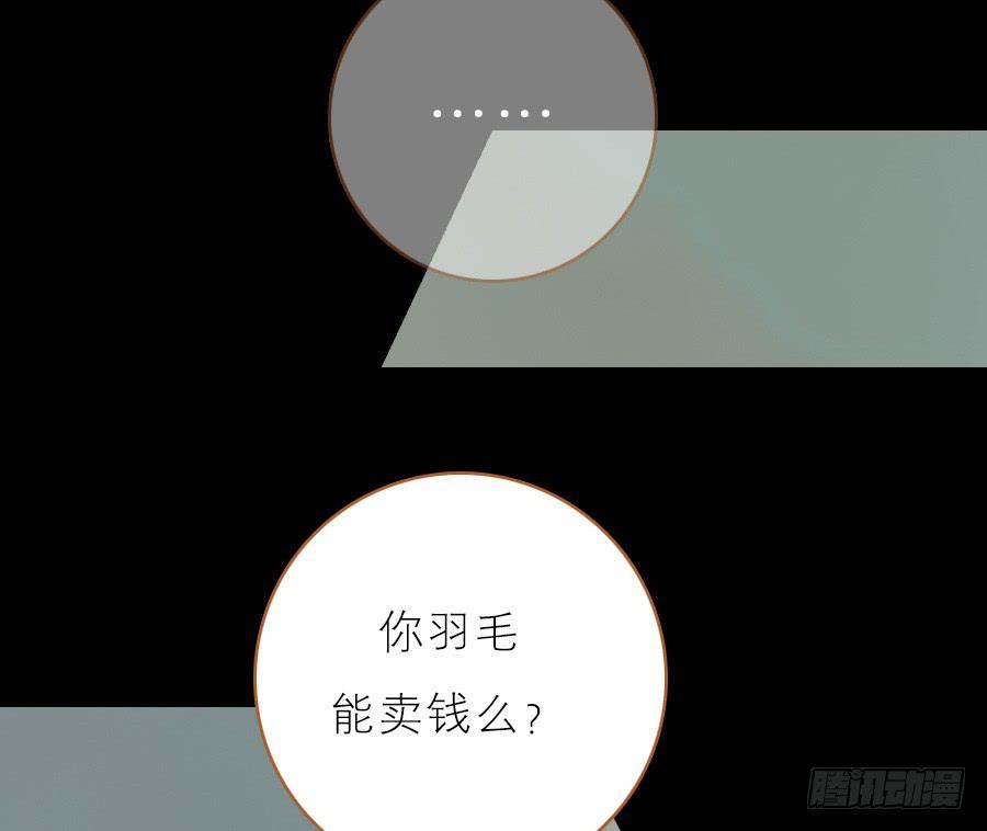 落毛凤凰不如鸡62