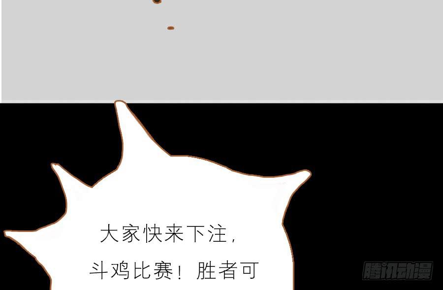 落毛凤凰不如鸡41