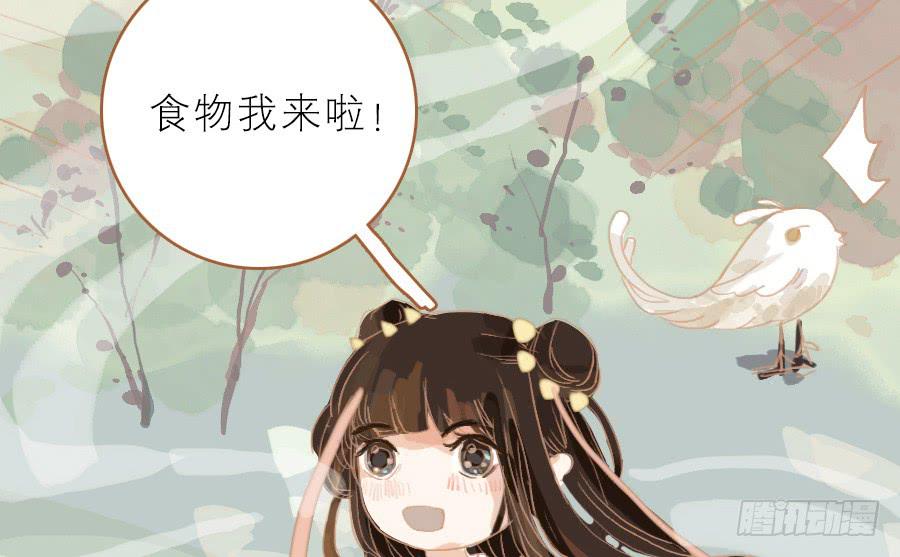 落毛凤凰不如鸡12