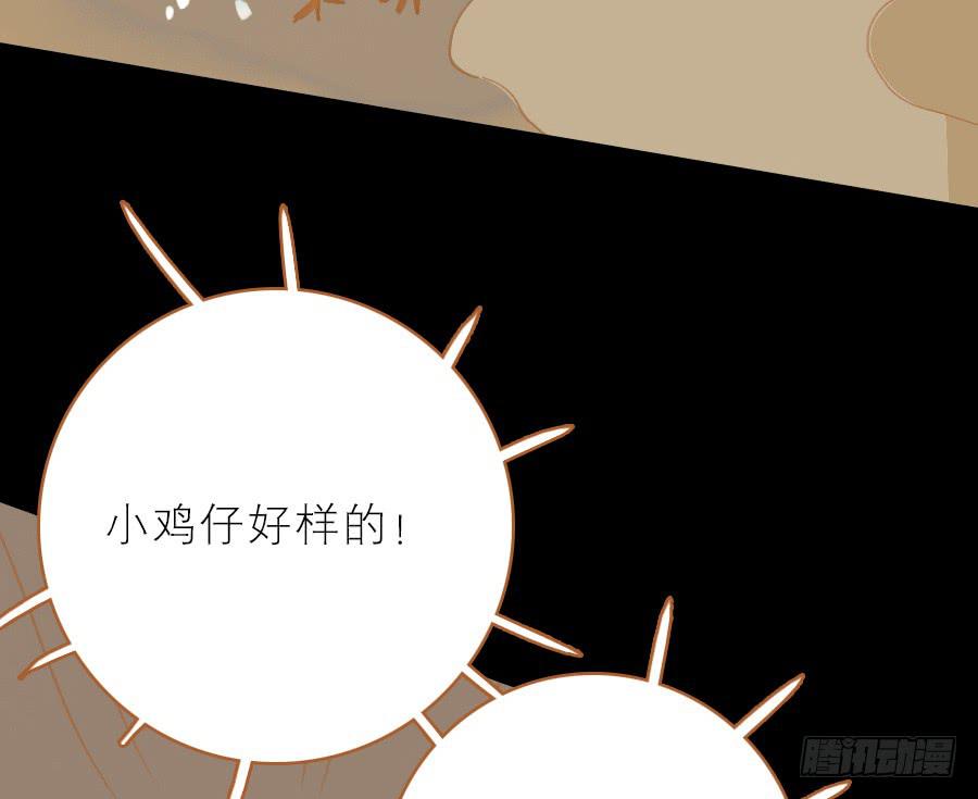 落毛凤凰不如鸡83
