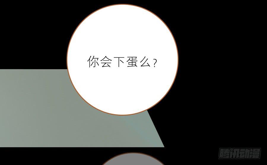 落毛凤凰不如鸡61