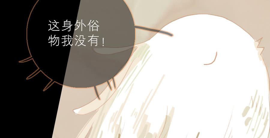 落毛凤凰不如鸡28