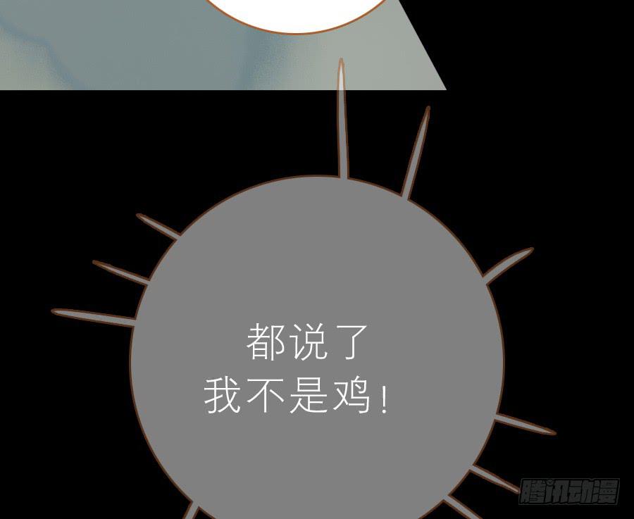 落毛凤凰不如鸡63
