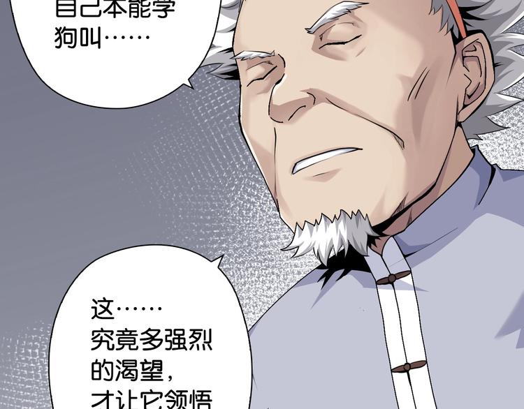 第11话 佛系飘飘球62