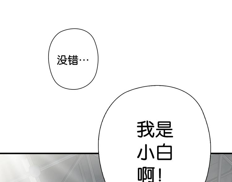 第11话 佛系飘飘球119