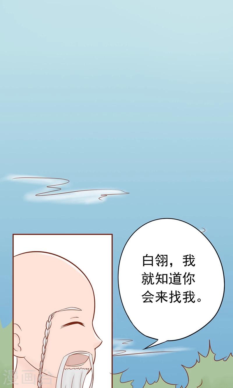 第20话 人傻钱多1
