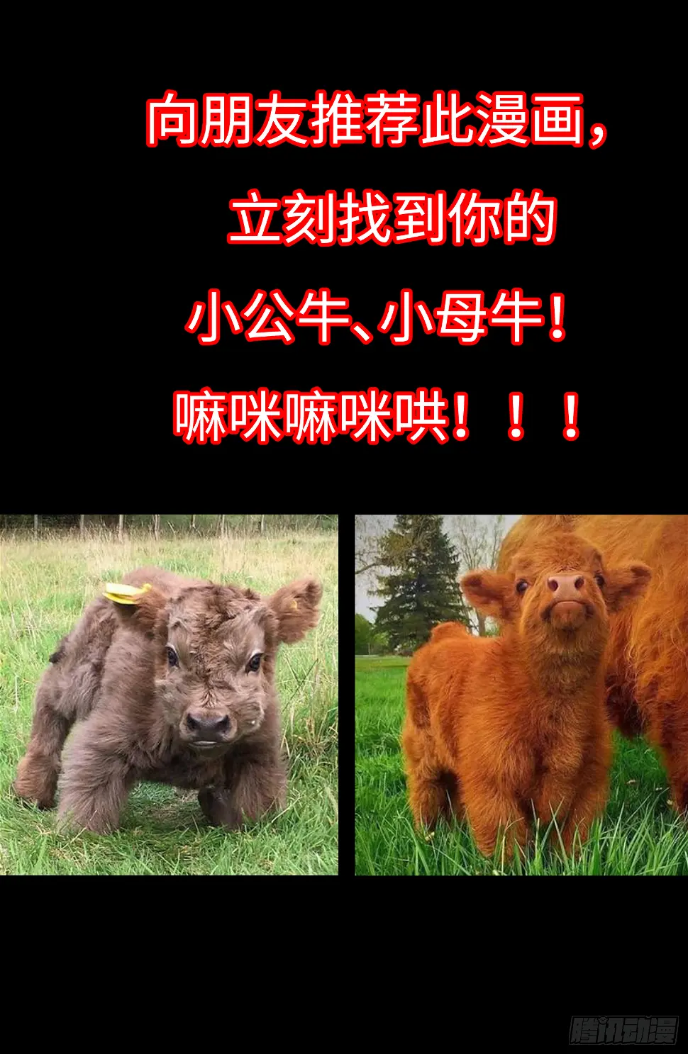 003 新的信息20