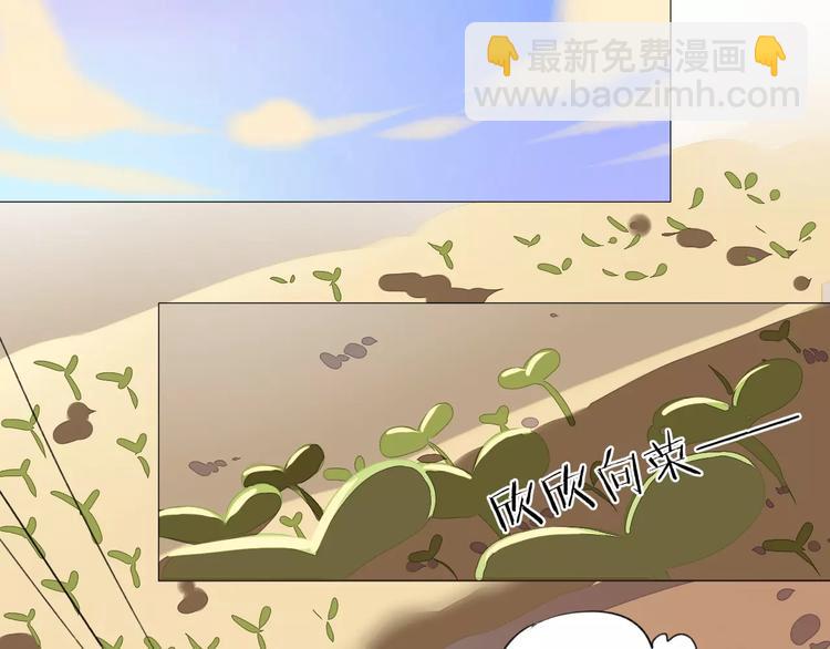 第11话 勉为其难37