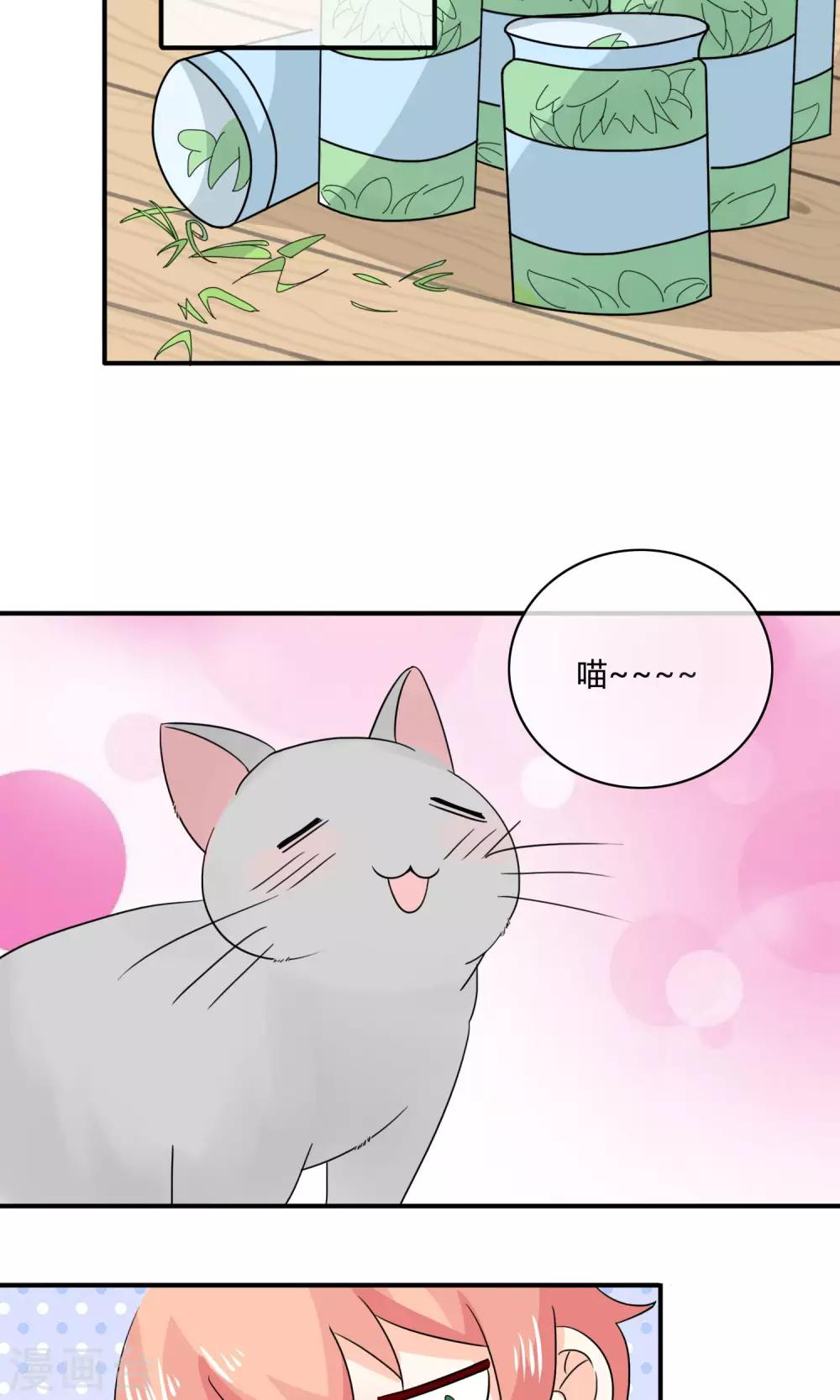 第4话 诱猫计划7