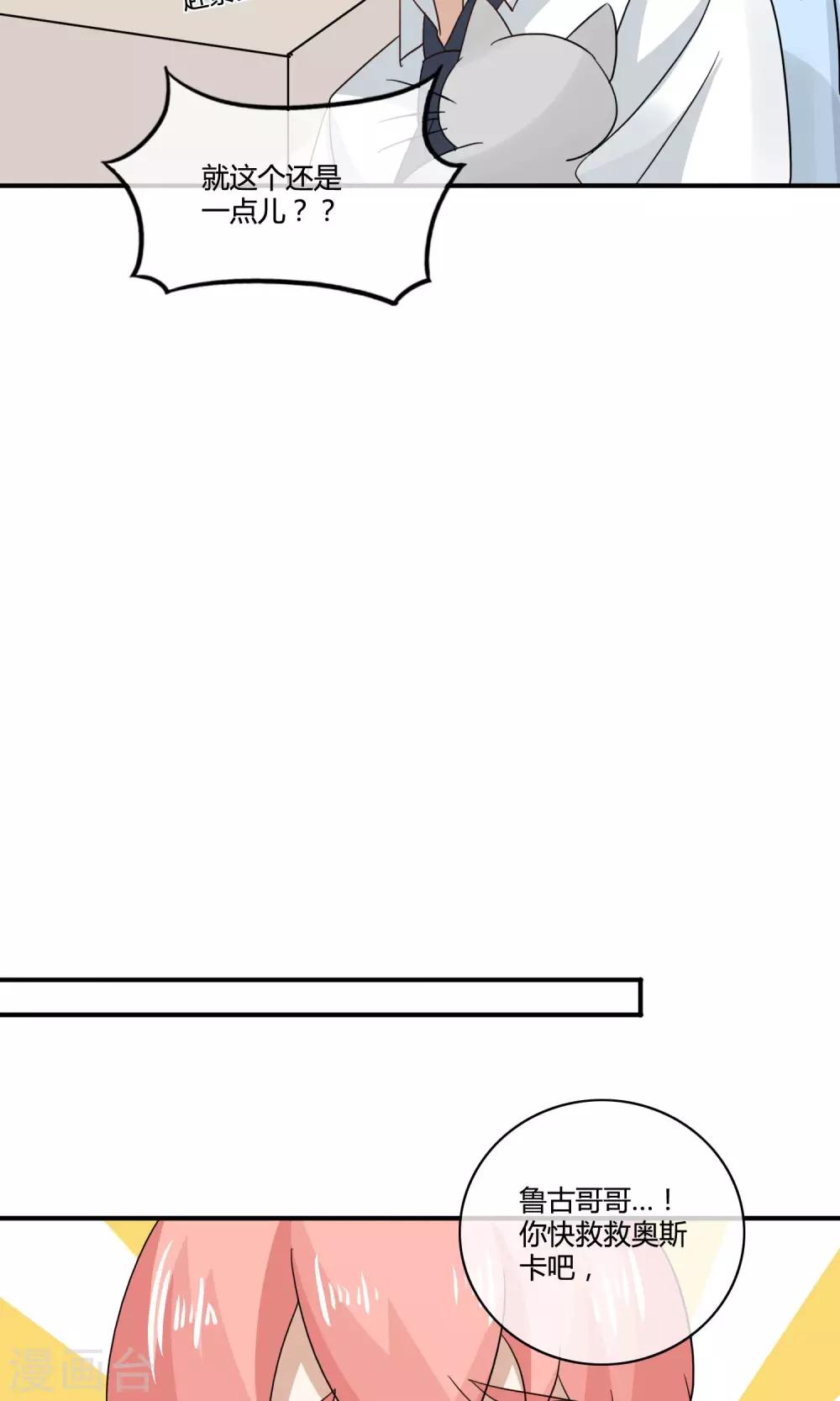 第4话 诱猫计划15