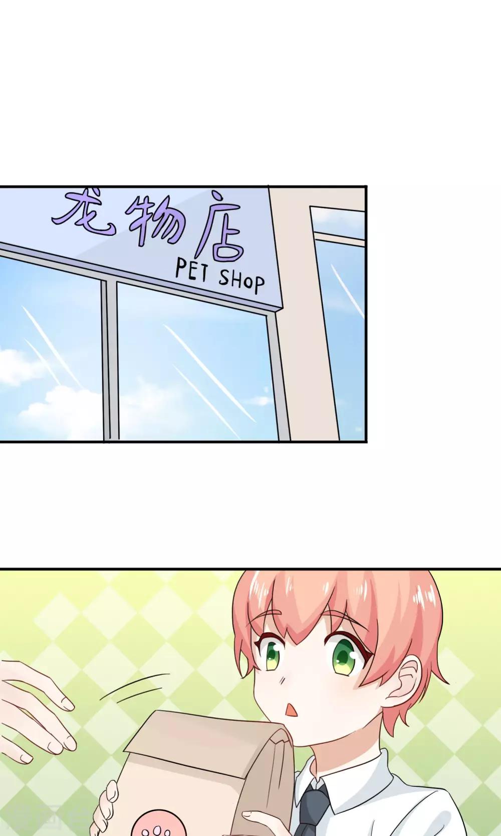 第4话 诱猫计划1
