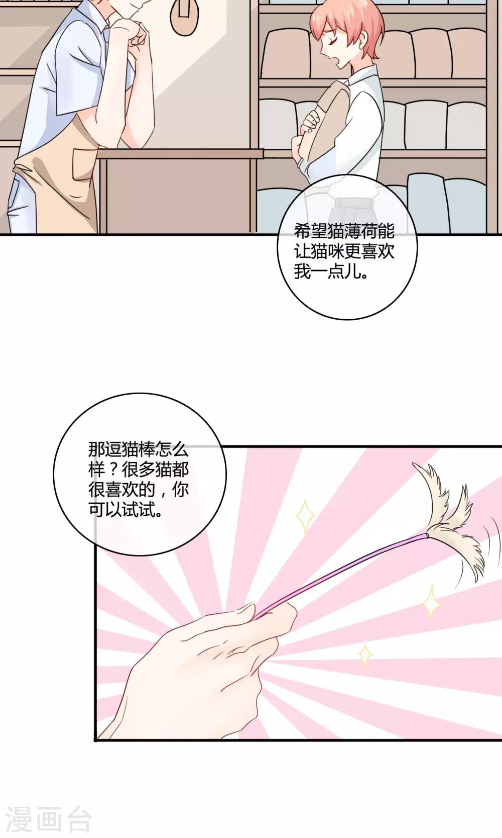 第4话 诱猫计划4