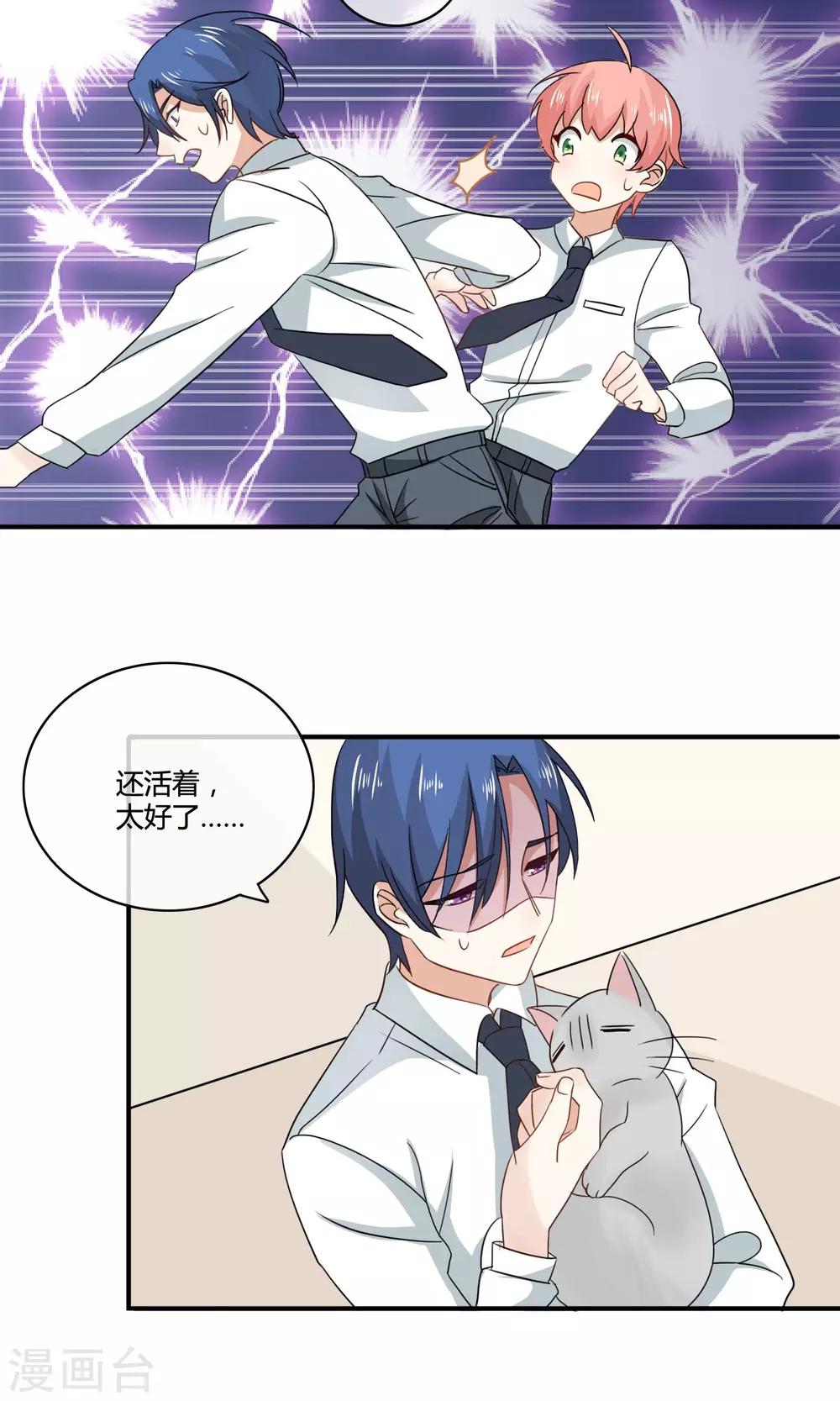 第4话 诱猫计划12