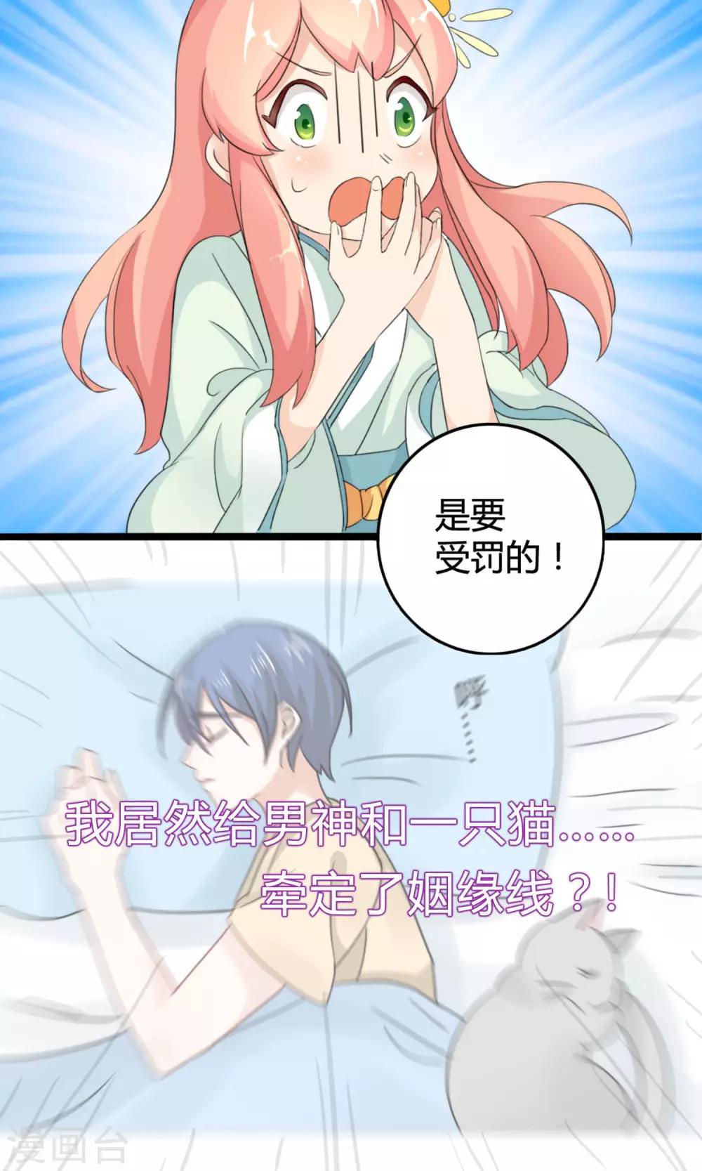 预告7
