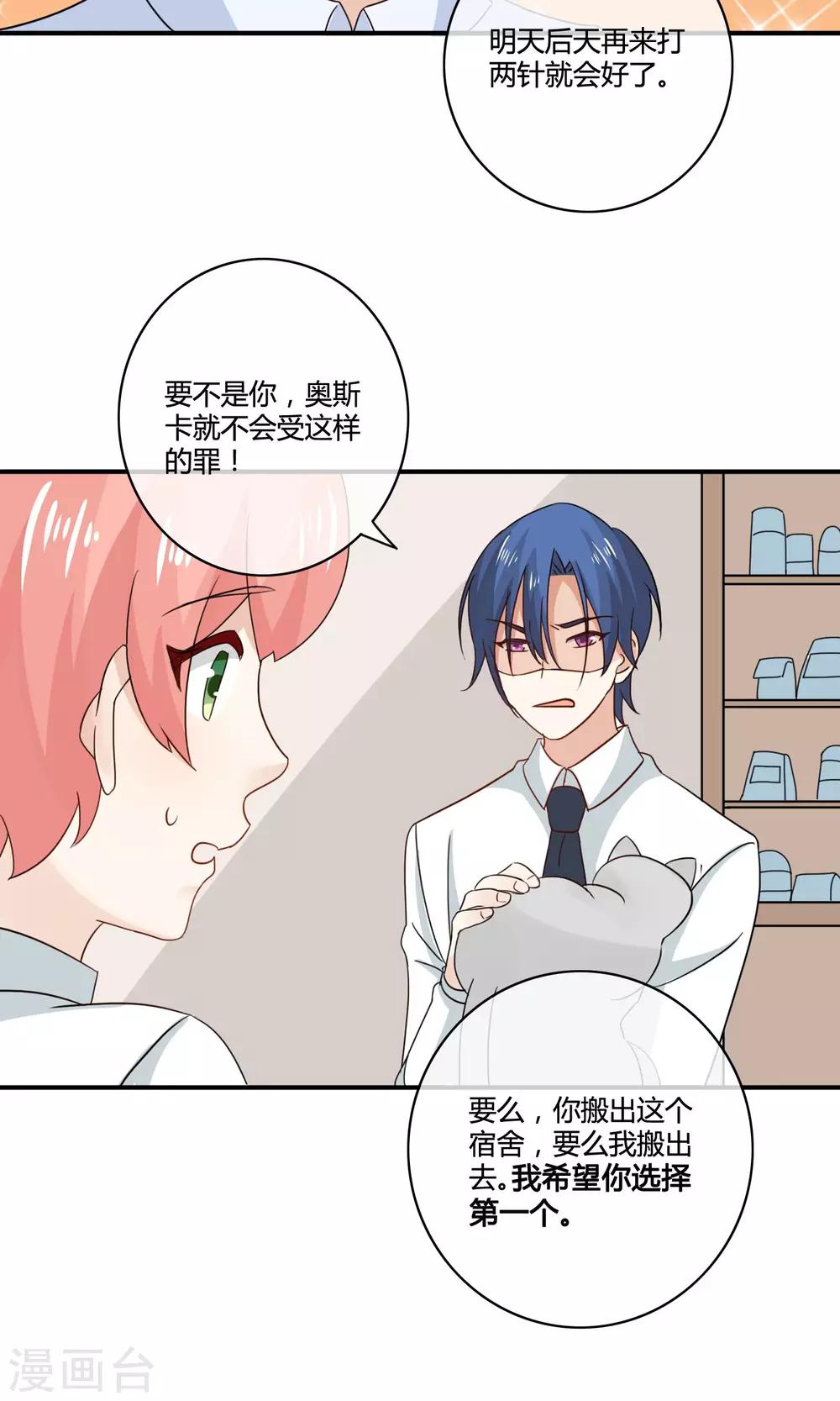 第4话 诱猫计划20