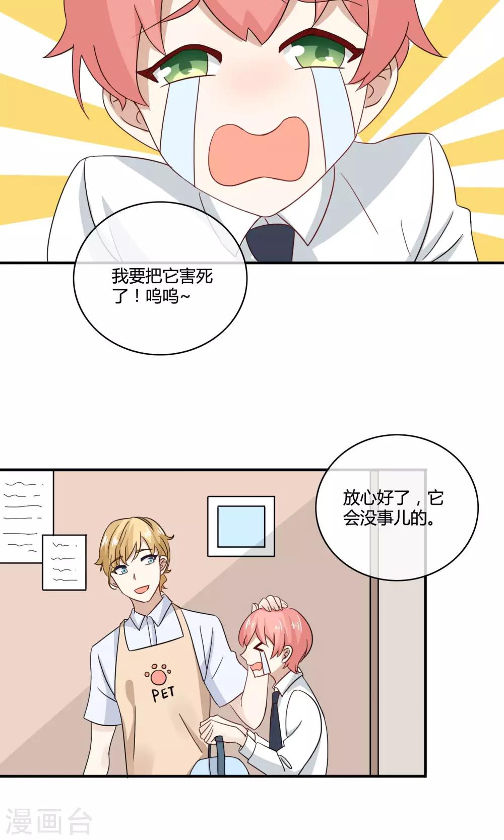 第4话 诱猫计划16