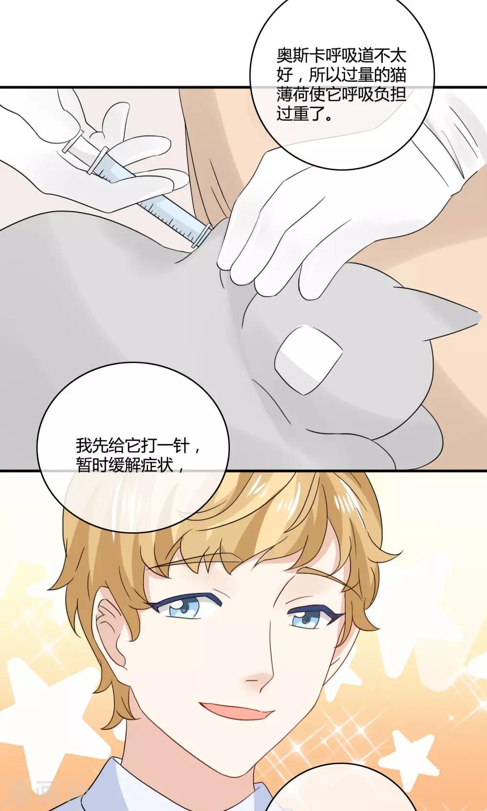 第4话 诱猫计划19