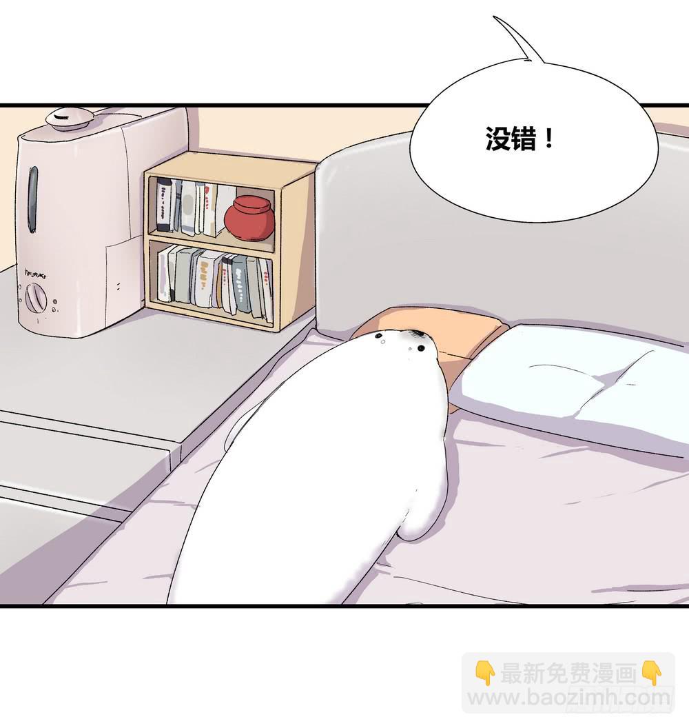 结束告白48