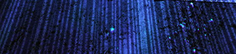 第6话 比武0223