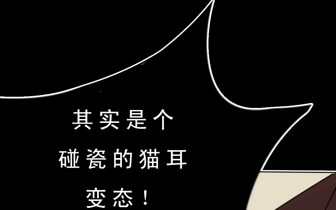 上线预告14