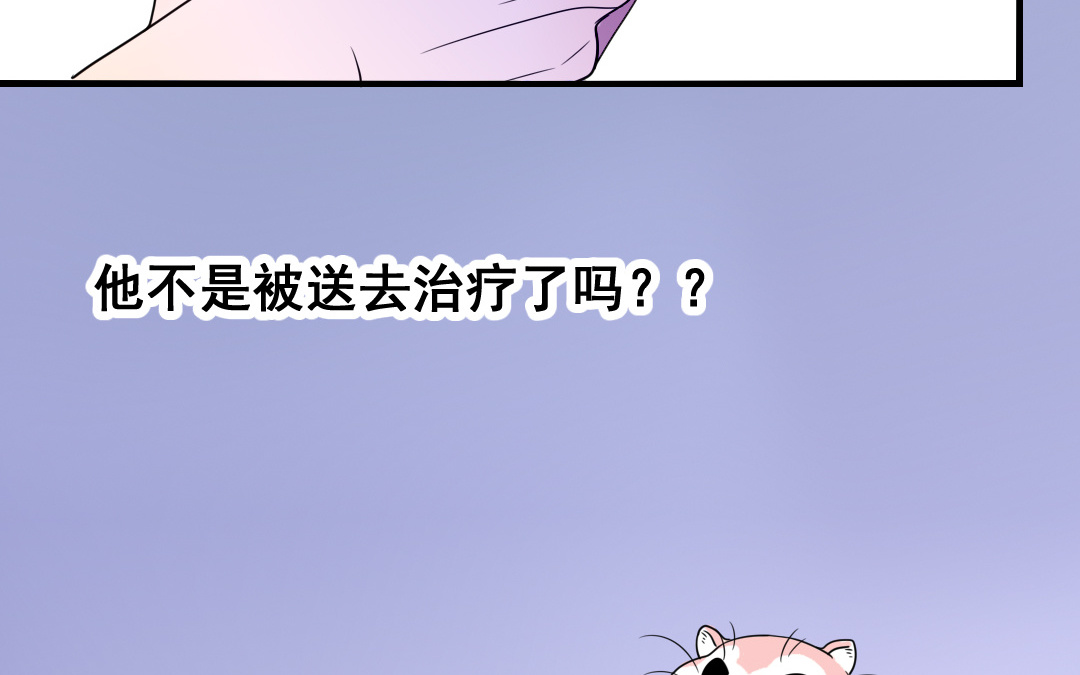 第7话 此猫只应天上有52