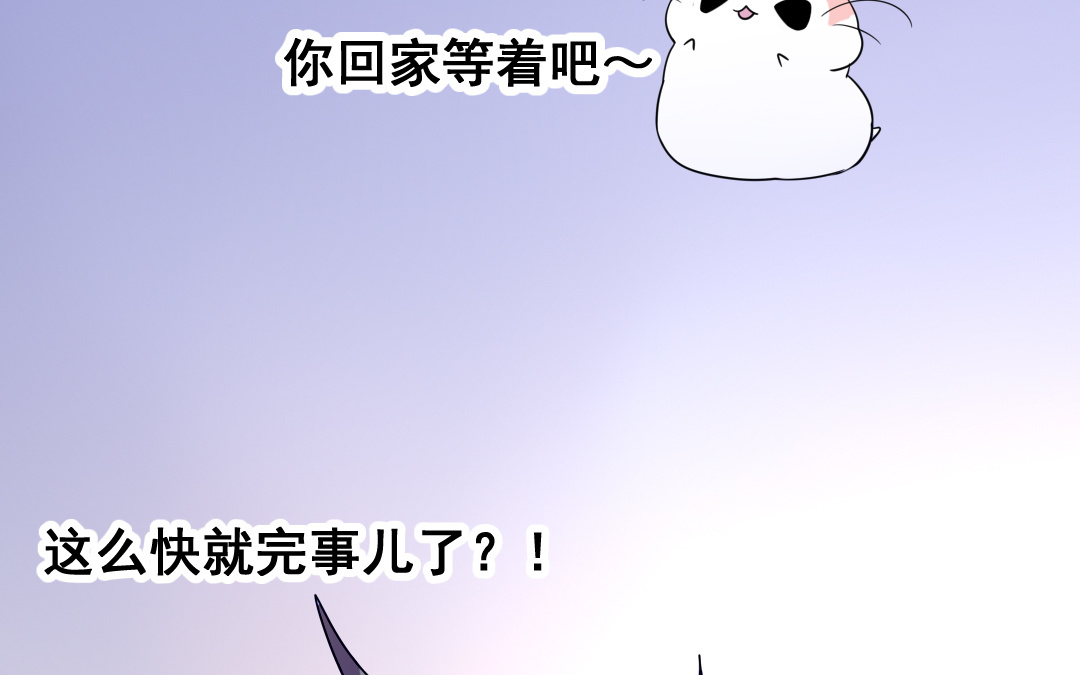 第7话 此猫只应天上有53