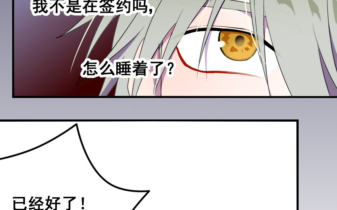 第7话 此猫只应天上有3