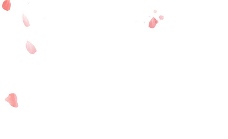 十里红妆（上）16