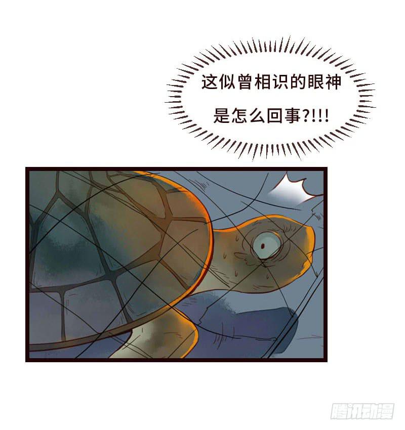 往事如茧52