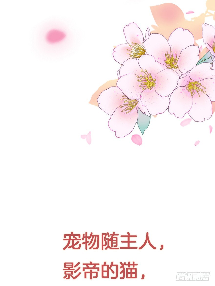 我们是个正经的预告！13