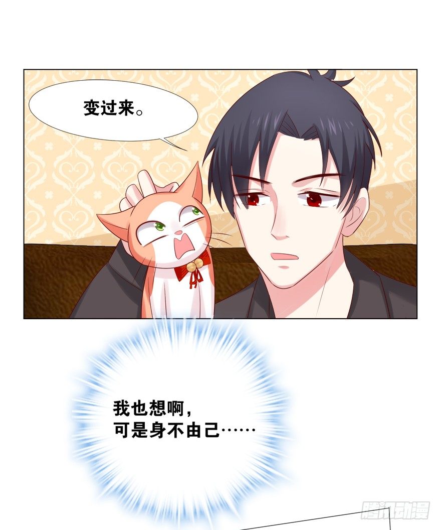欺软怕硬30