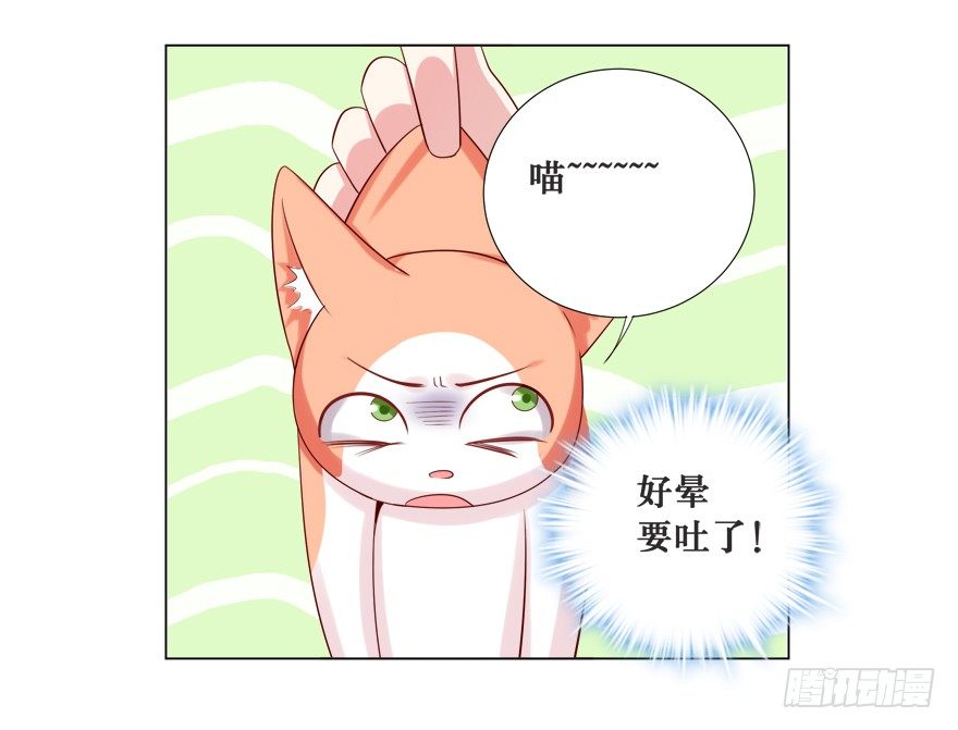 欺软怕硬28